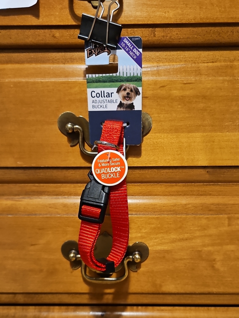 Red Adjustable Dog Collar for Small Dogs 10-16" Neck